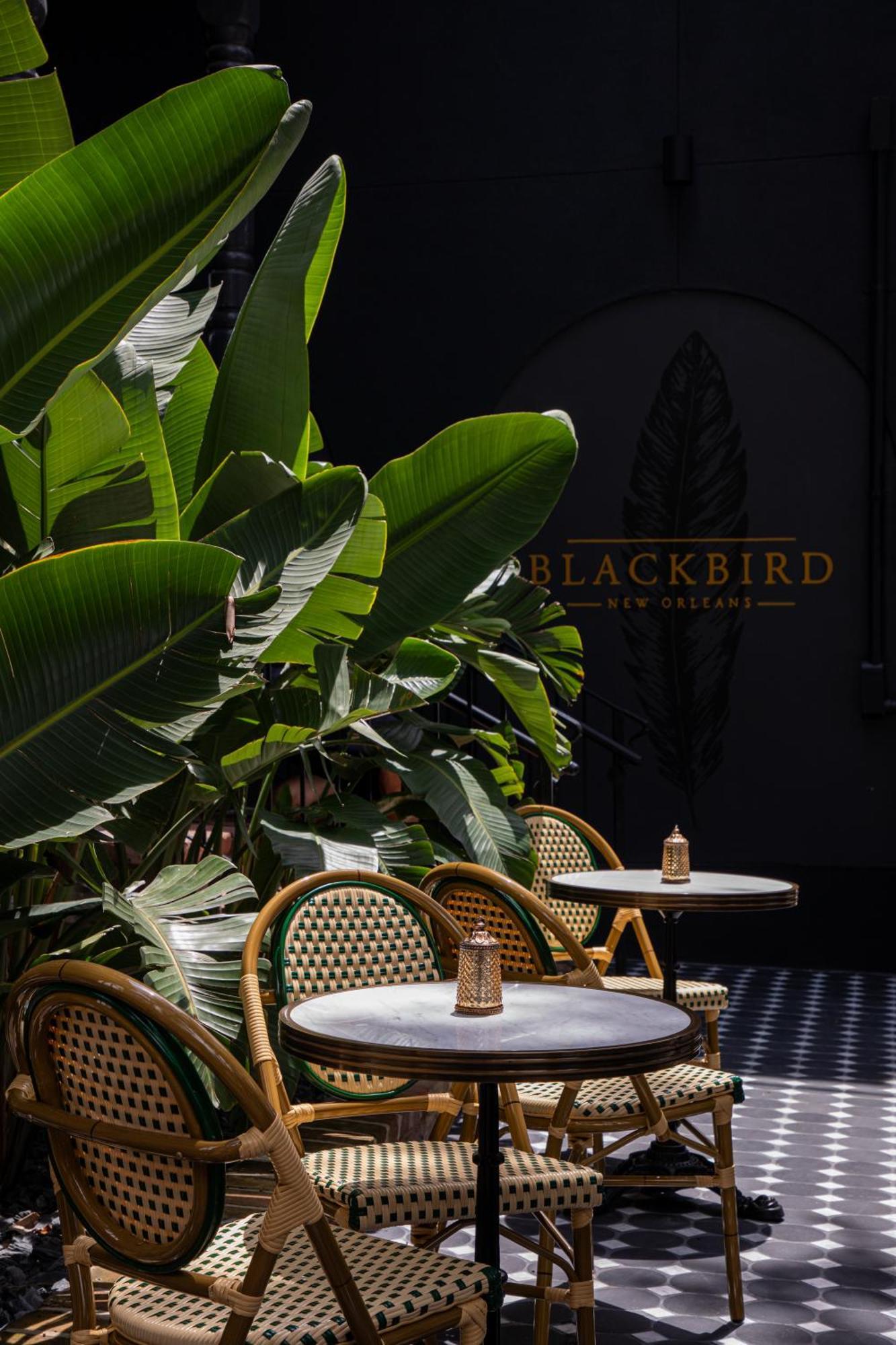 Blackbird Hotel Новый Орлеан Экстерьер фото