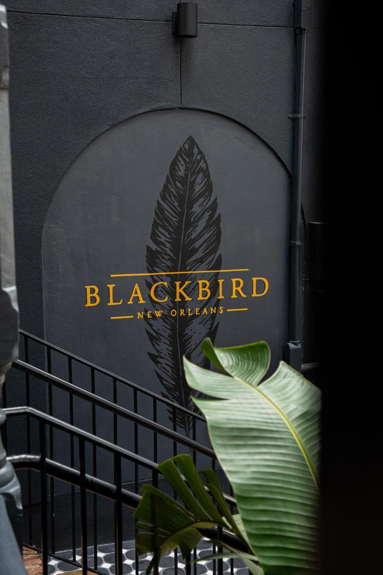 Blackbird Hotel Новый Орлеан Экстерьер фото