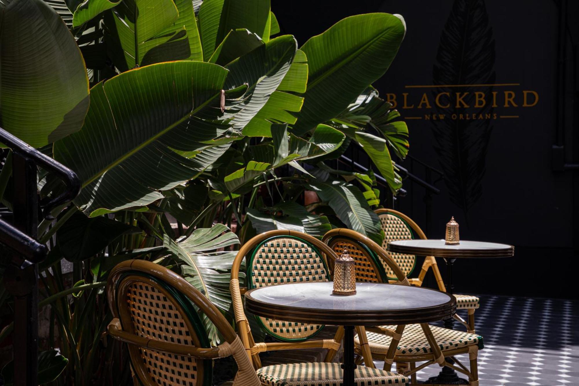 Blackbird Hotel Новый Орлеан Экстерьер фото